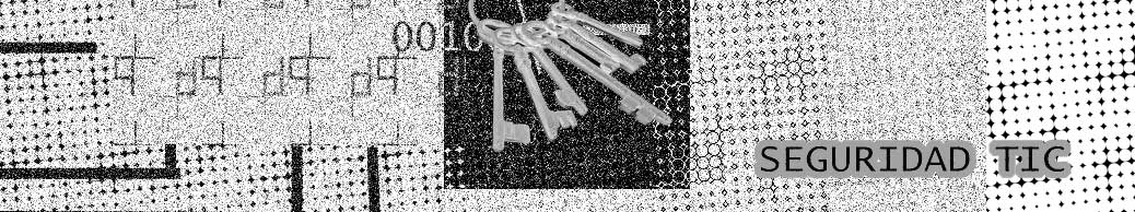 Seguridad TIC